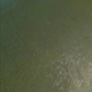 Meet your Posher, Clive